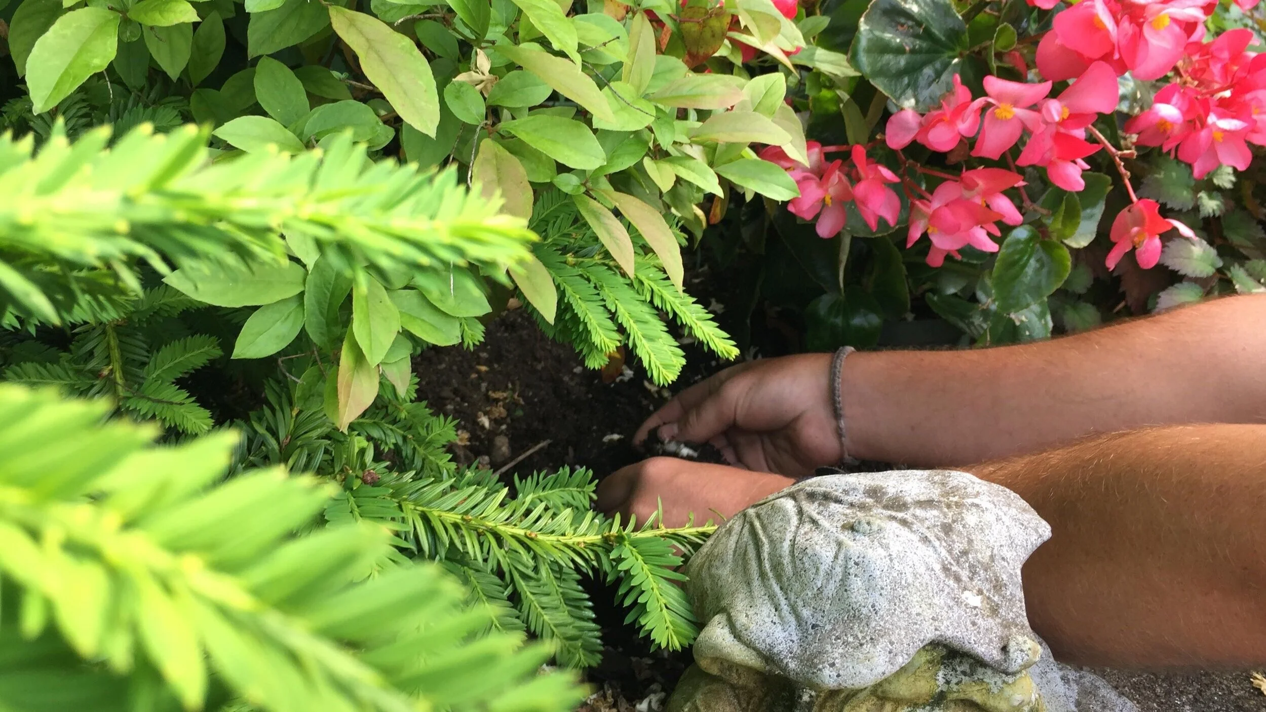 The Need To Weed