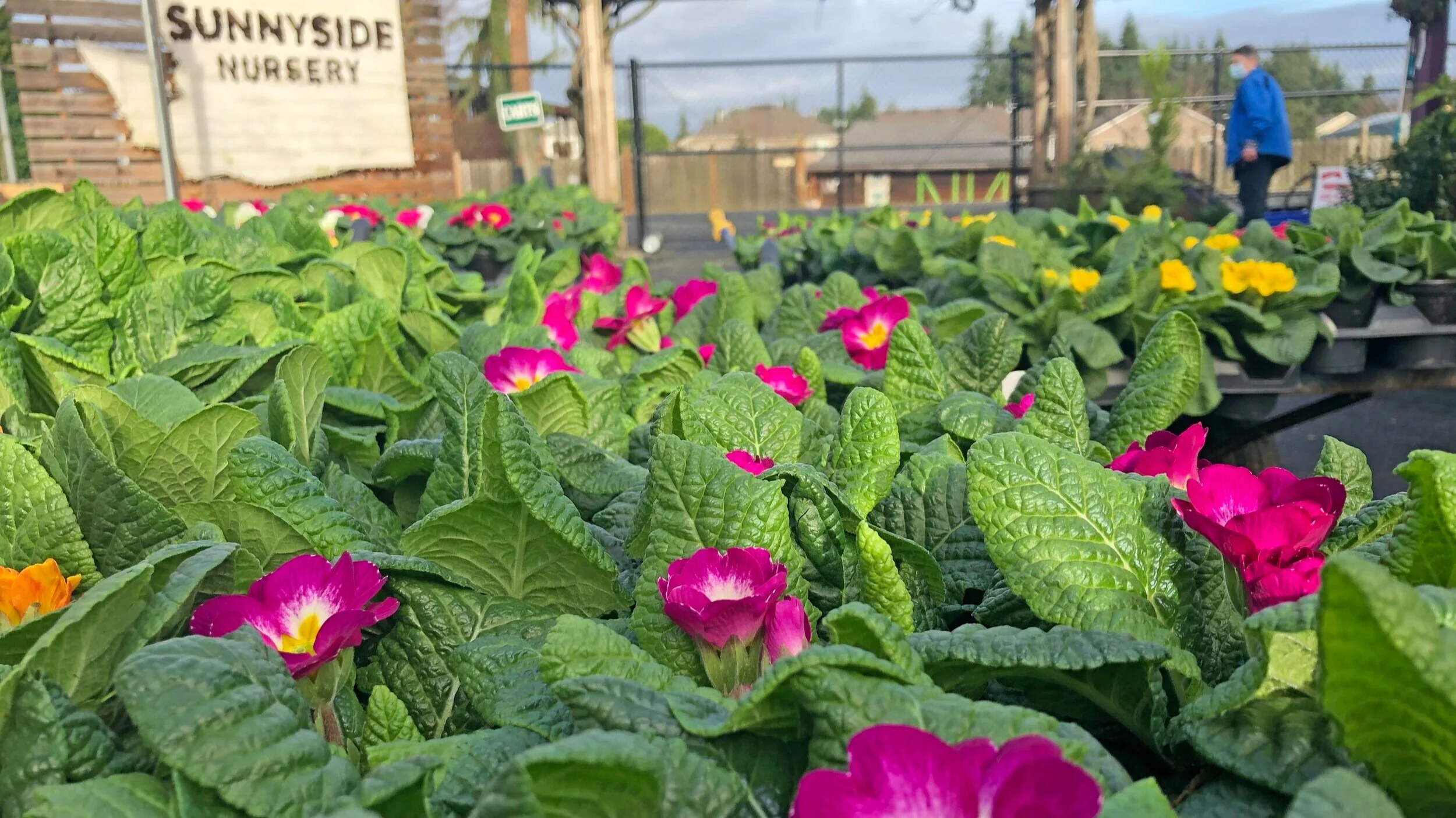 Bring On The New Gardening Year