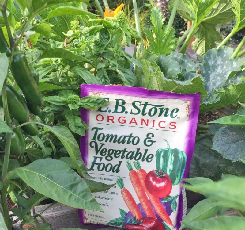 蔬菜箱与肥料- eb石头。jpg