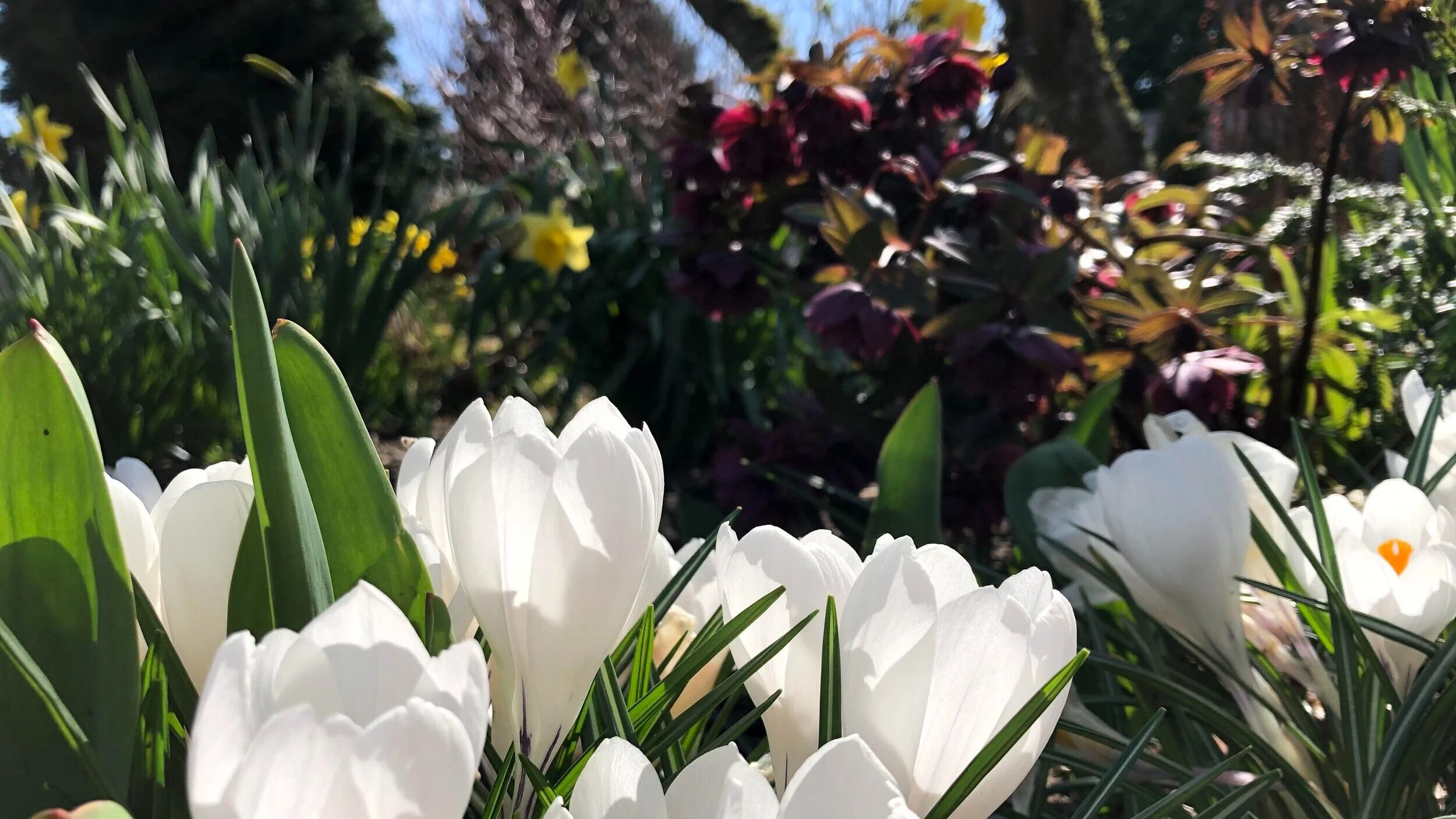 March Ramblings