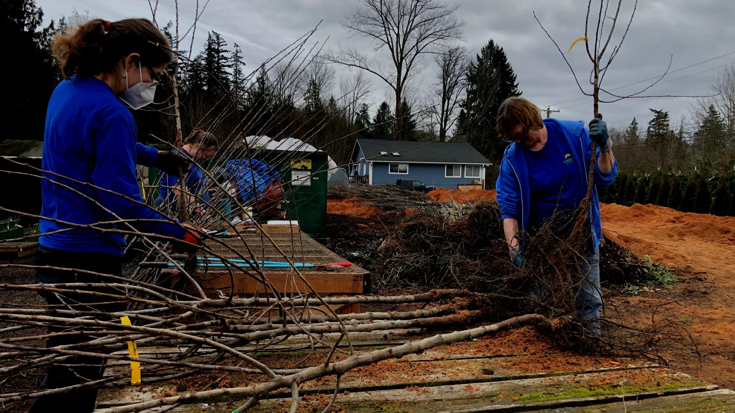 The 2022 Gardening Season Has Begun - Bare Root Fruit Trees & Roses Have Arrived