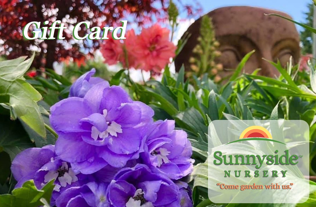 Sunnyside Nursery Gift Card