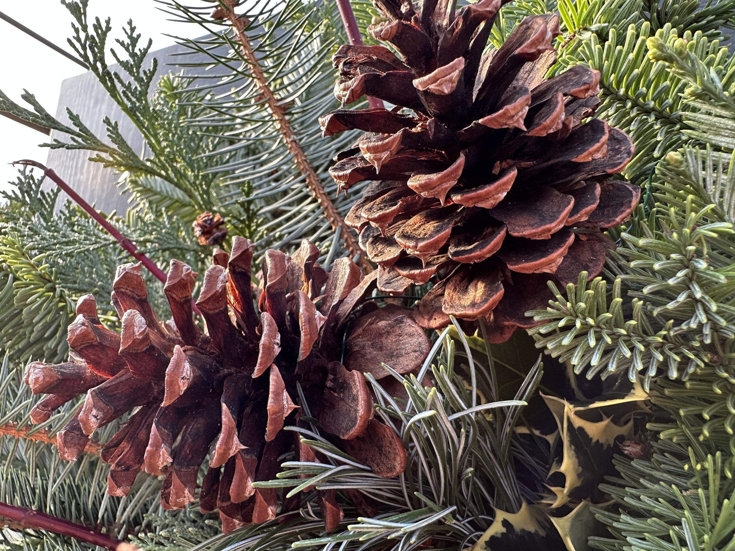 Wreath #6 with pinecones.jpg