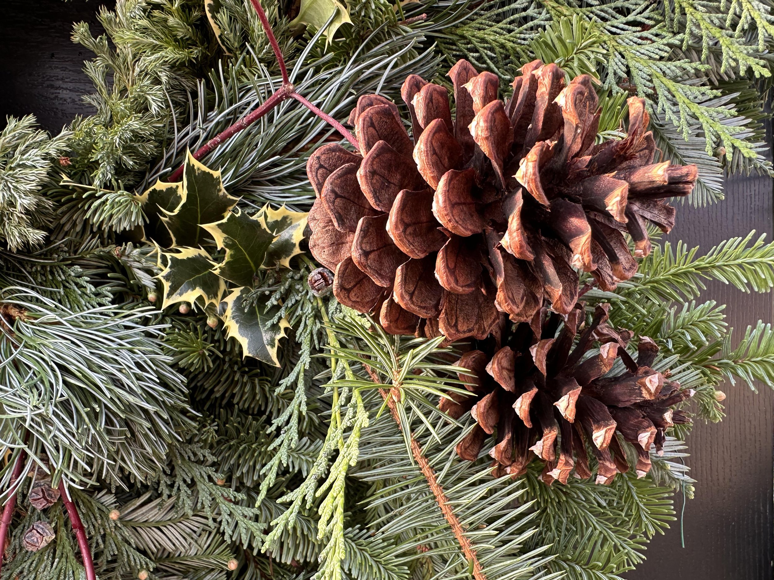 Wreath #6 with pinecones2.jpg