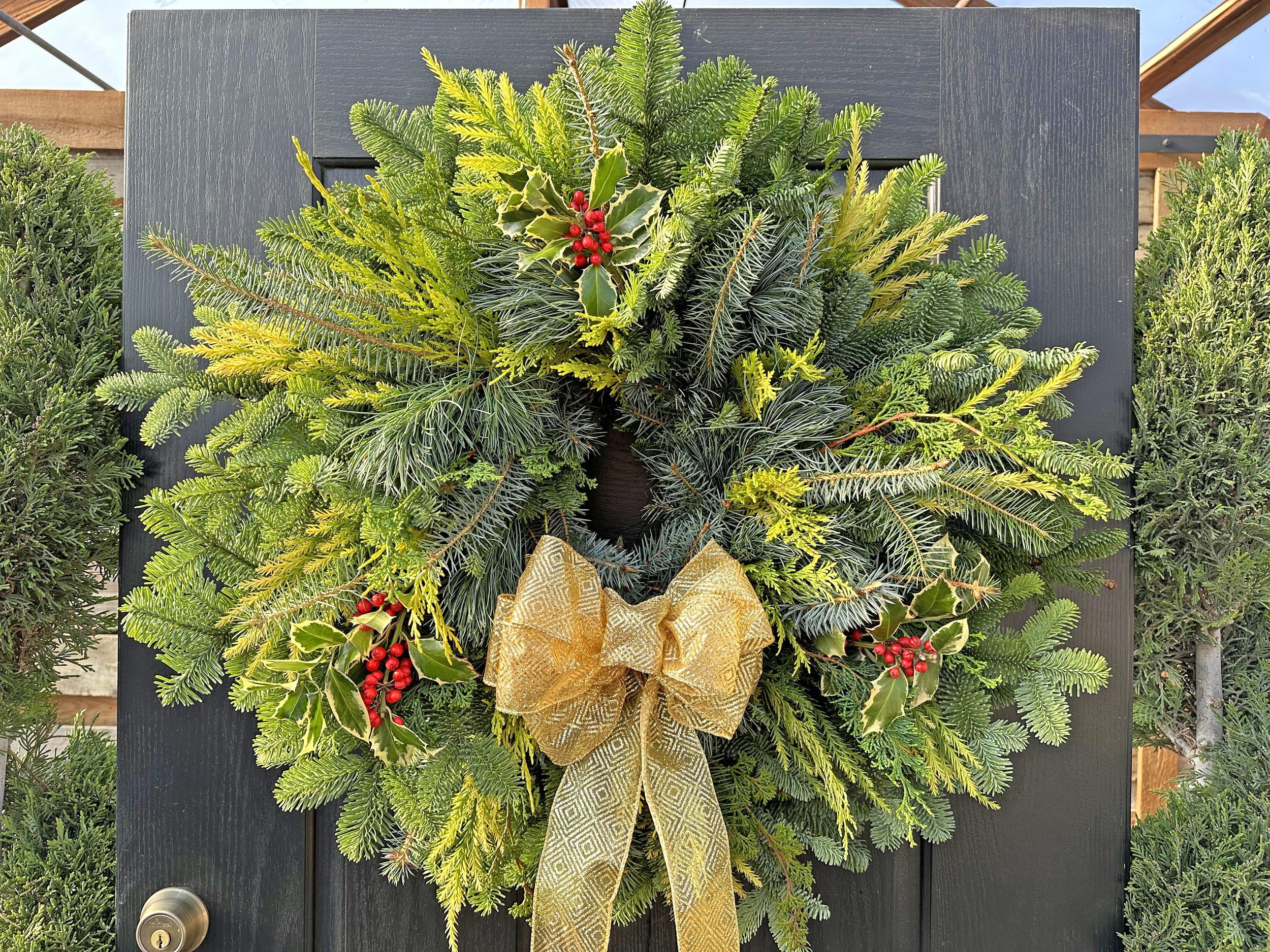Wreath #4 with variegated holly & gold bow.jpg