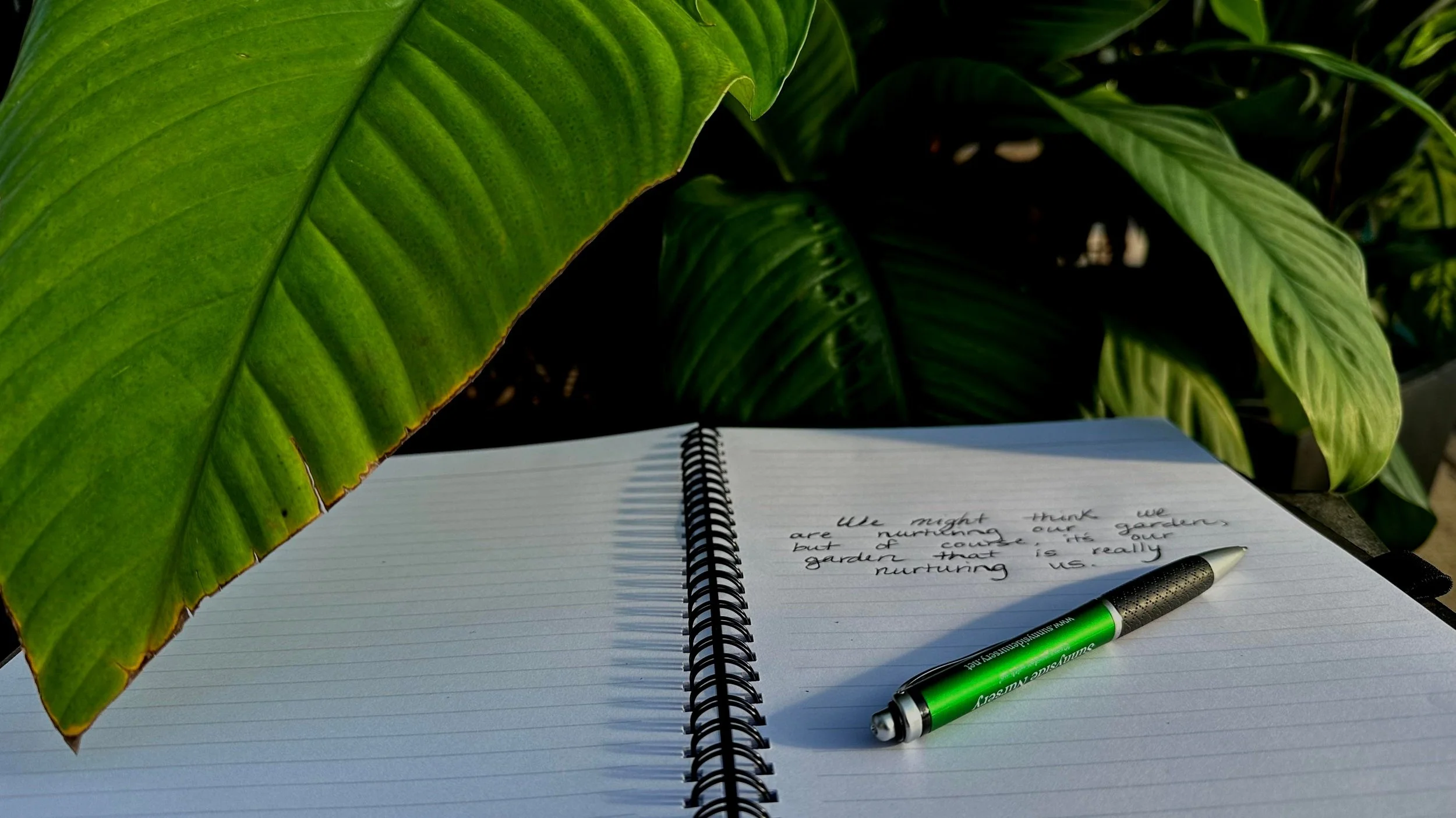 A Few Tips For A Better Garden In 2023