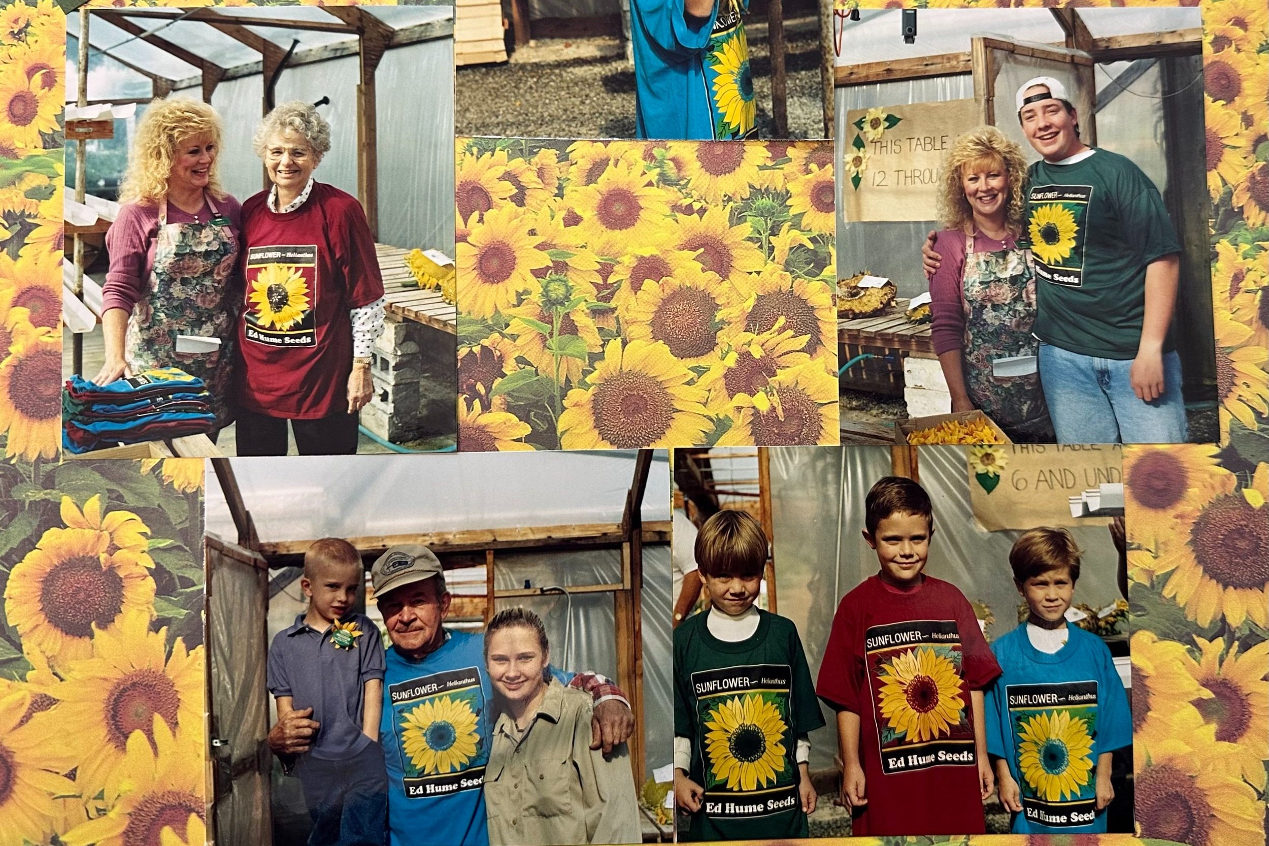 Sunflower+contest.jpg