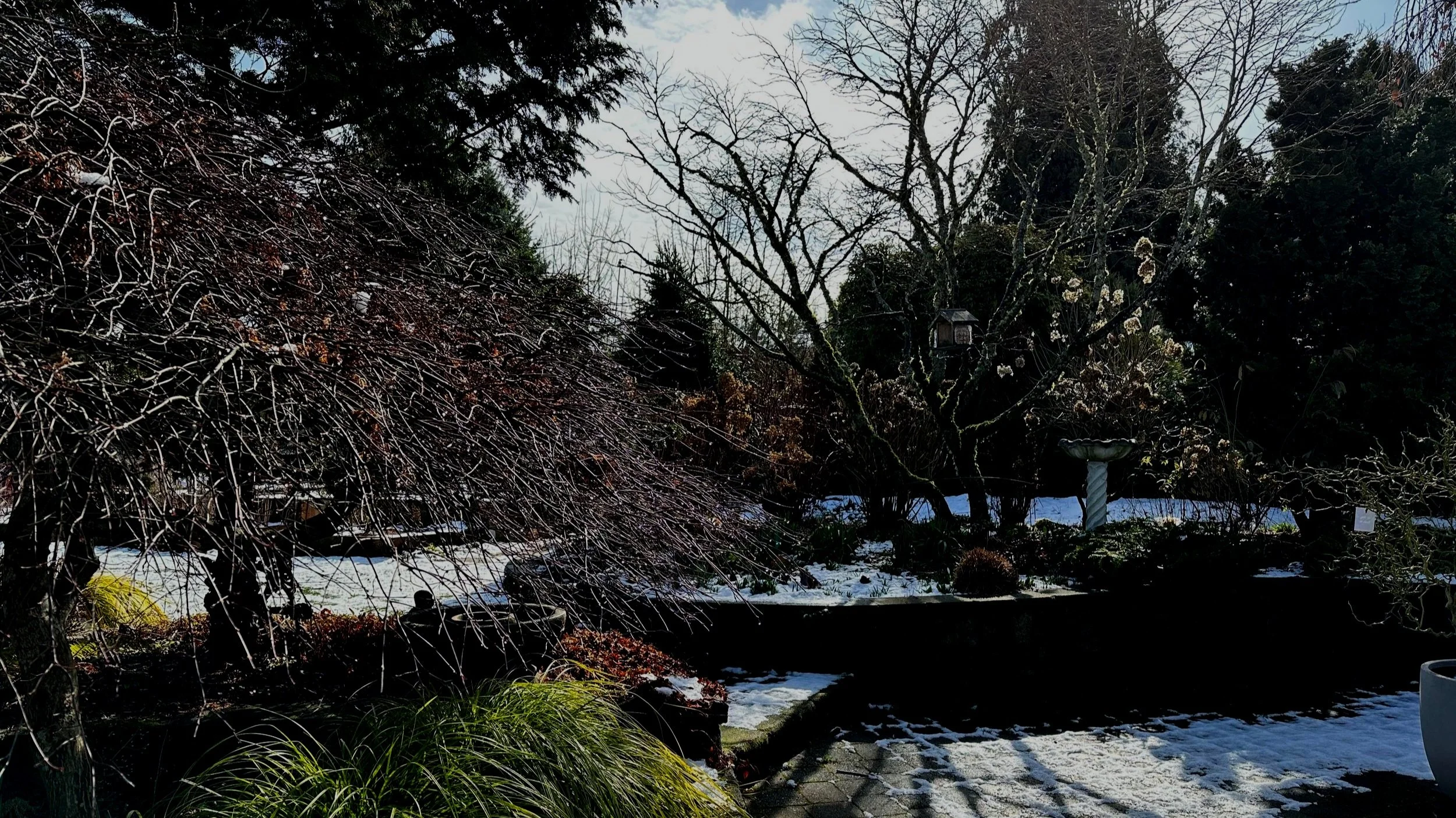 March Madness (In The Garden!)