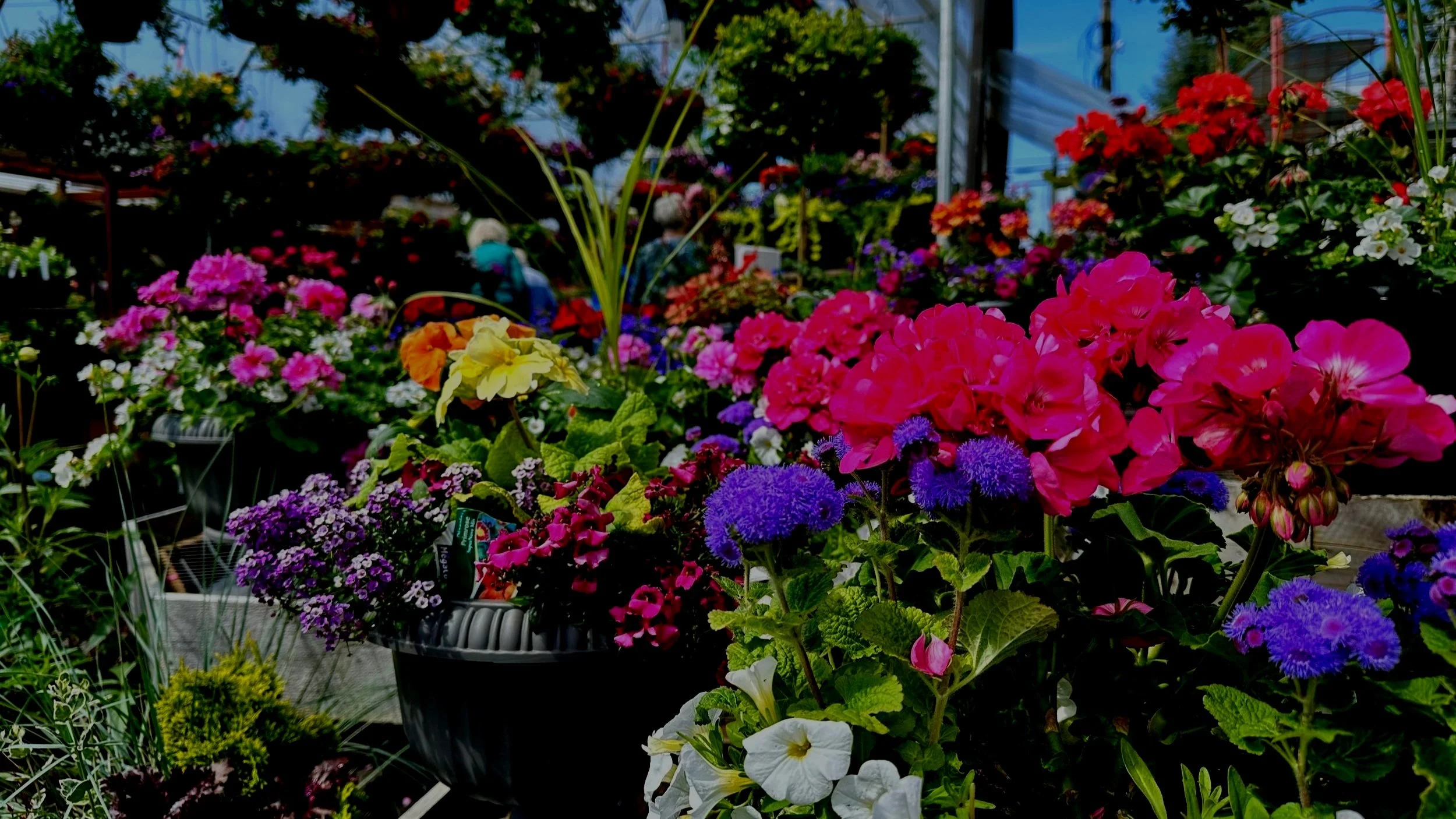 Here's How To Have The Best-Looking Containers