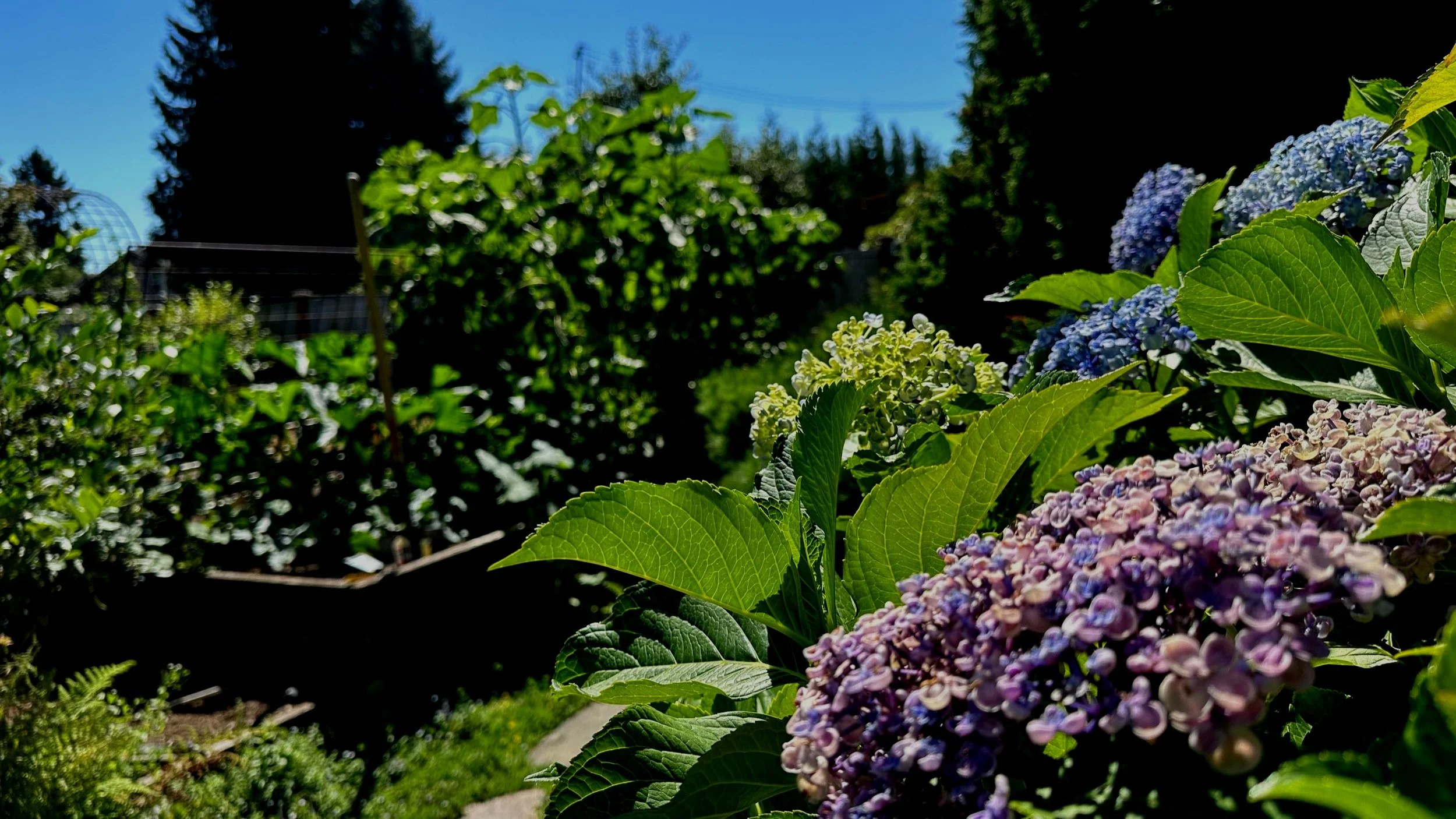 As Summer Ends, Fall Begins