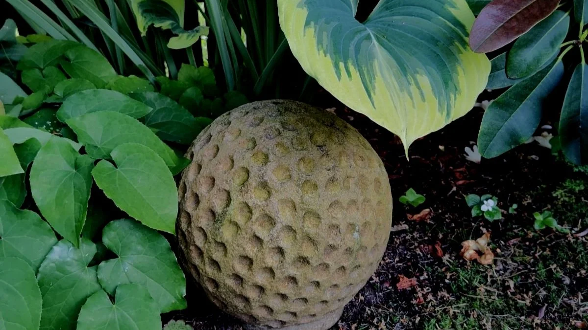 Dads Like Flowers Too!