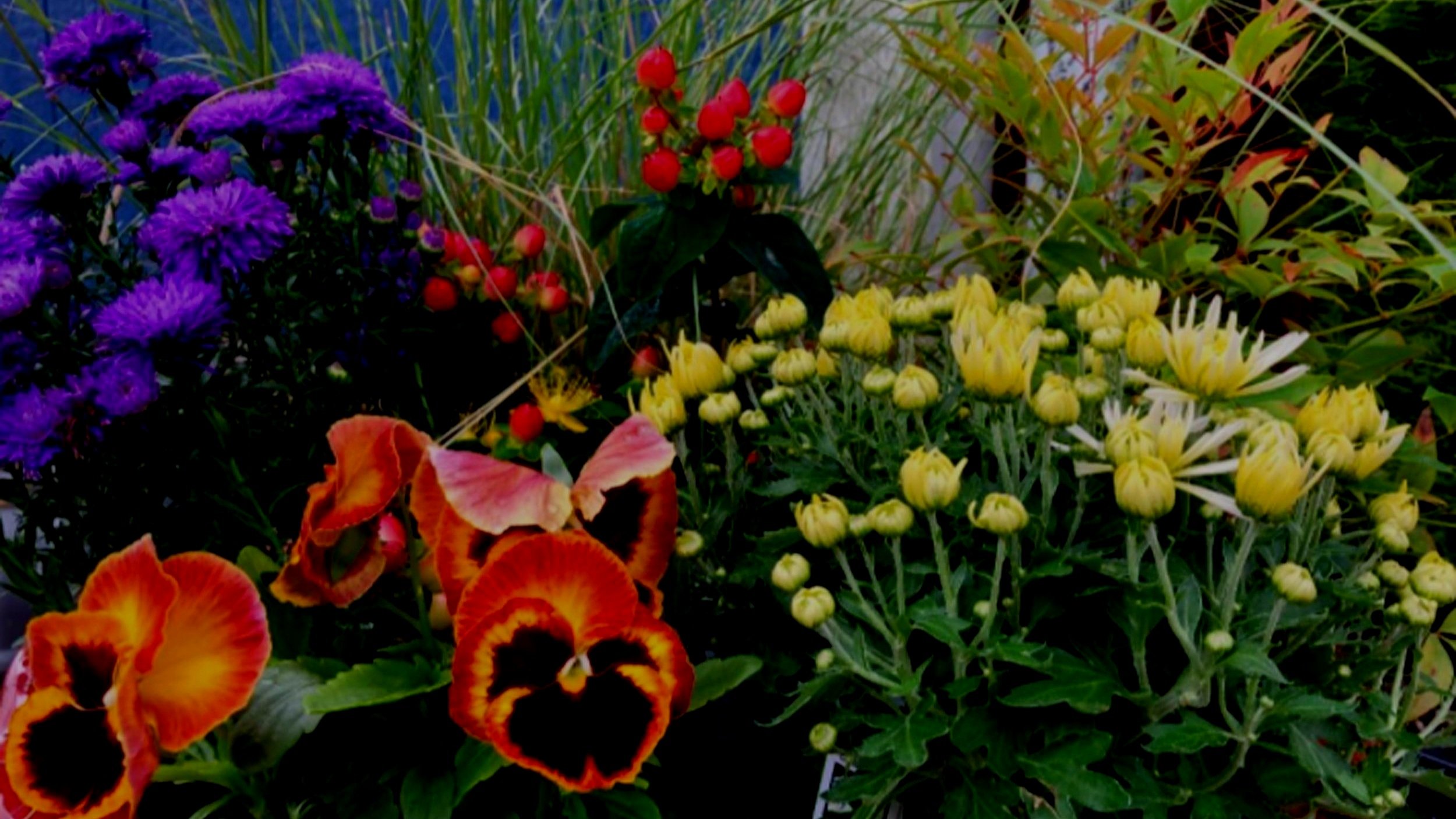 Freshening Up Containers For Fall