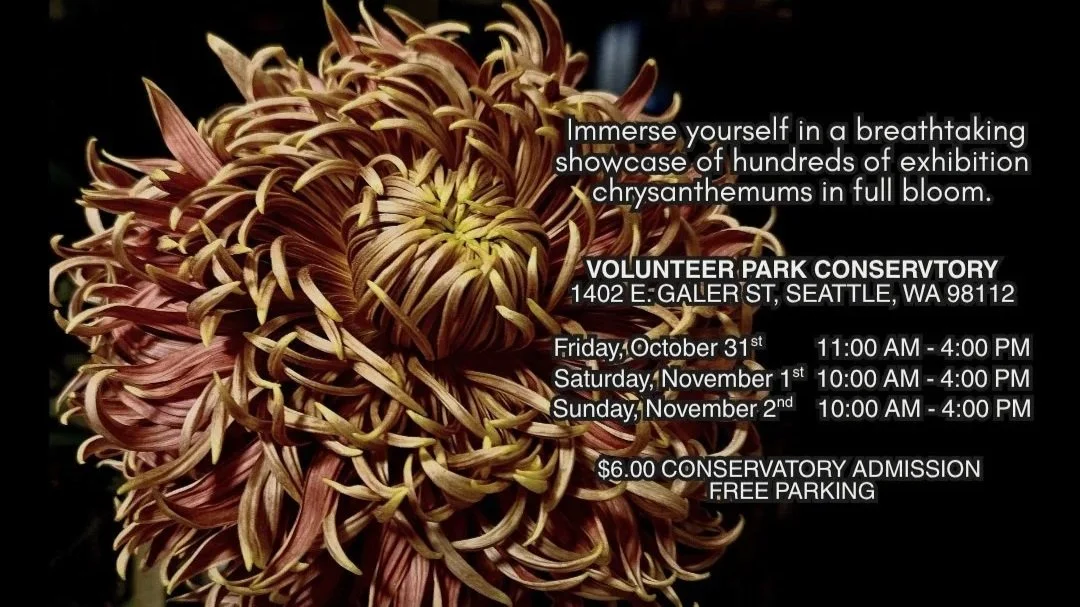 79th Annual Mum Show