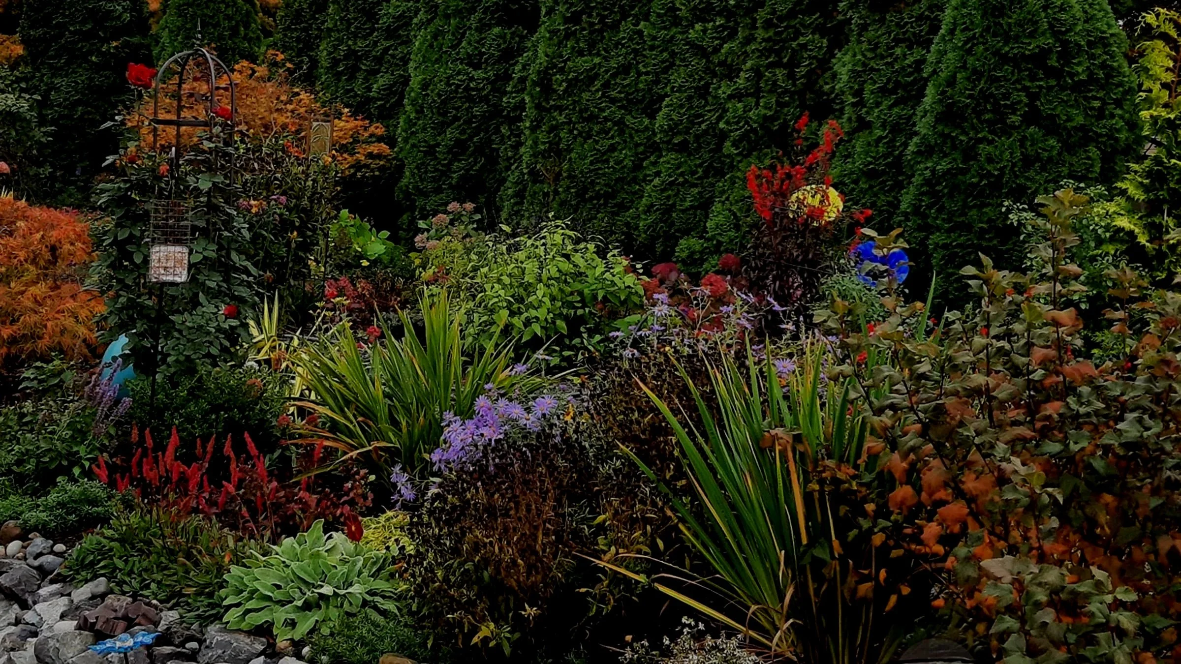 Multiplication by Division with Perennials