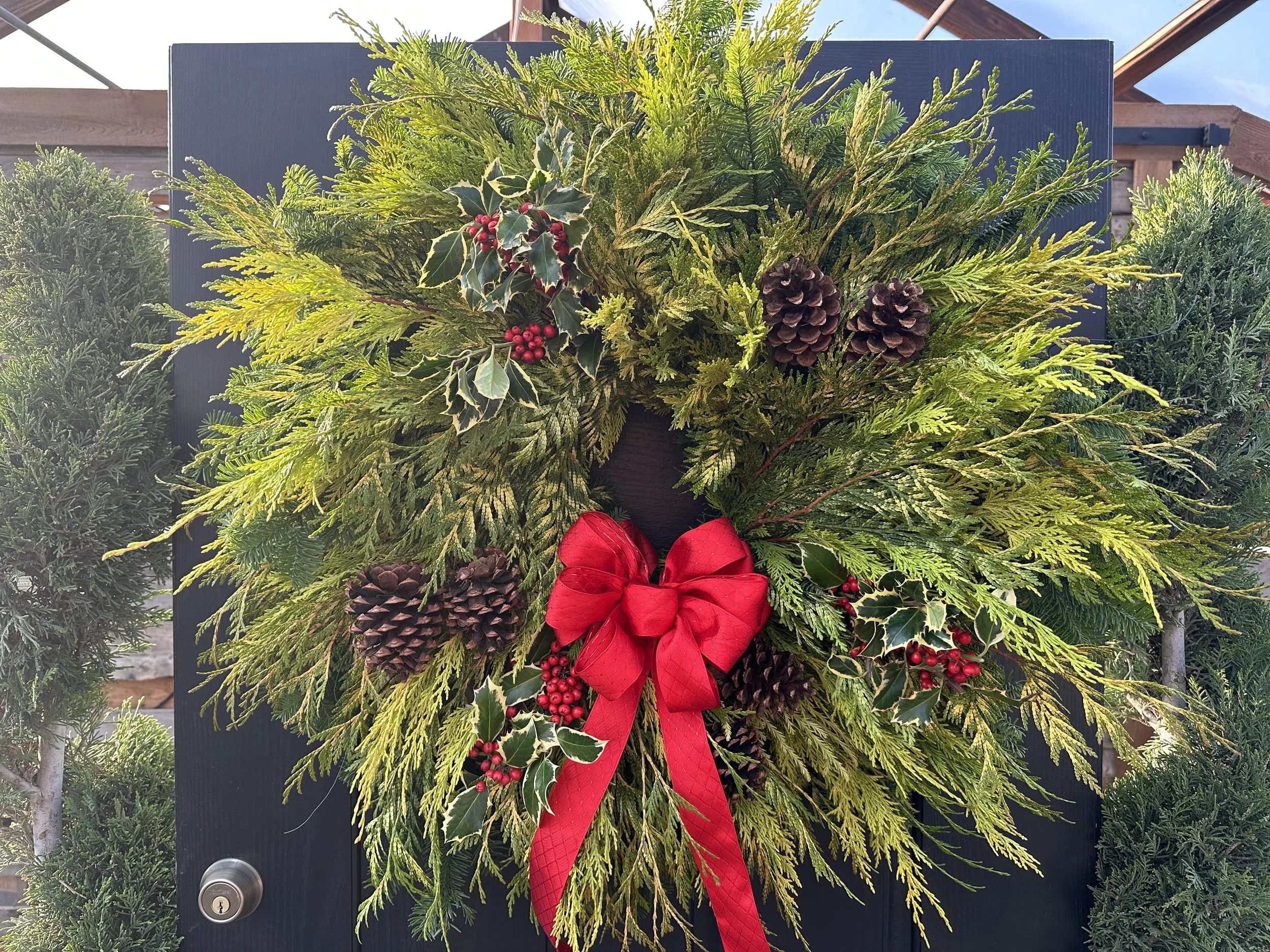 Winter Sun Wreath