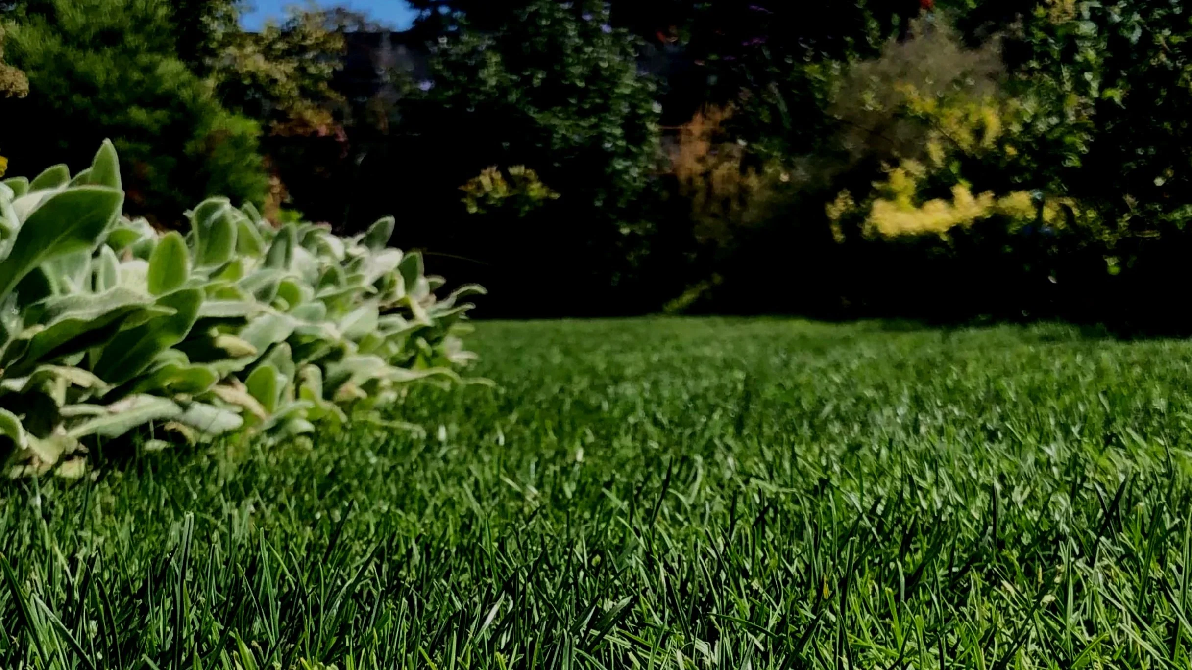 Tales Of Turf - Episode 1