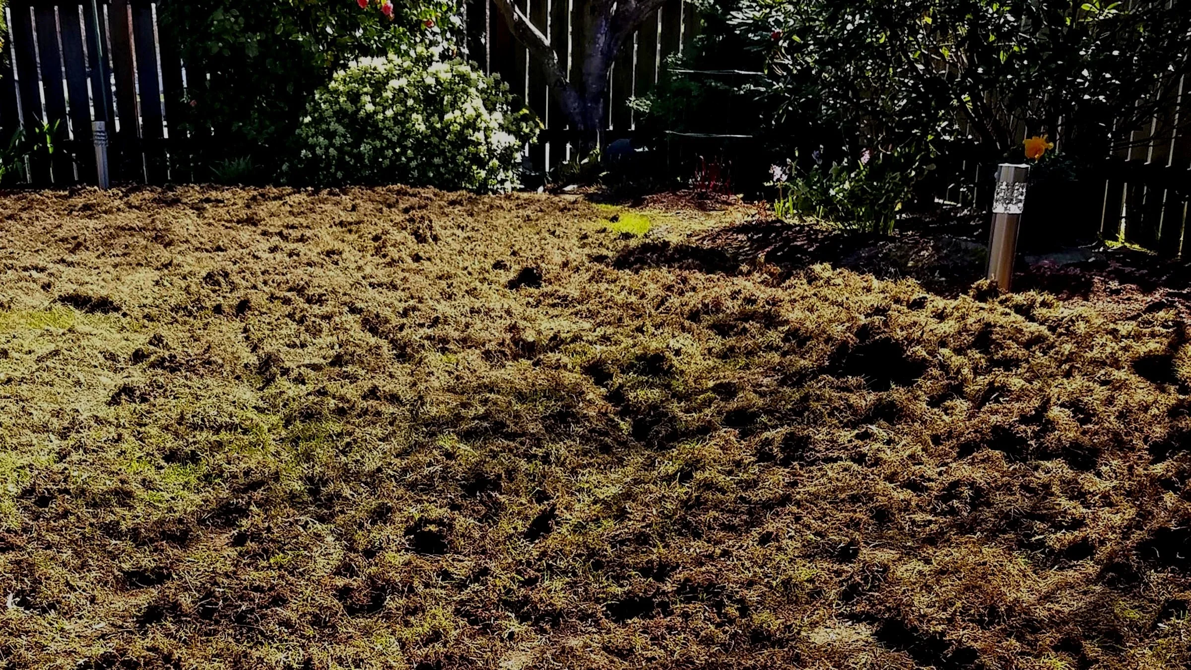 Tales Of Turf - Episode Two