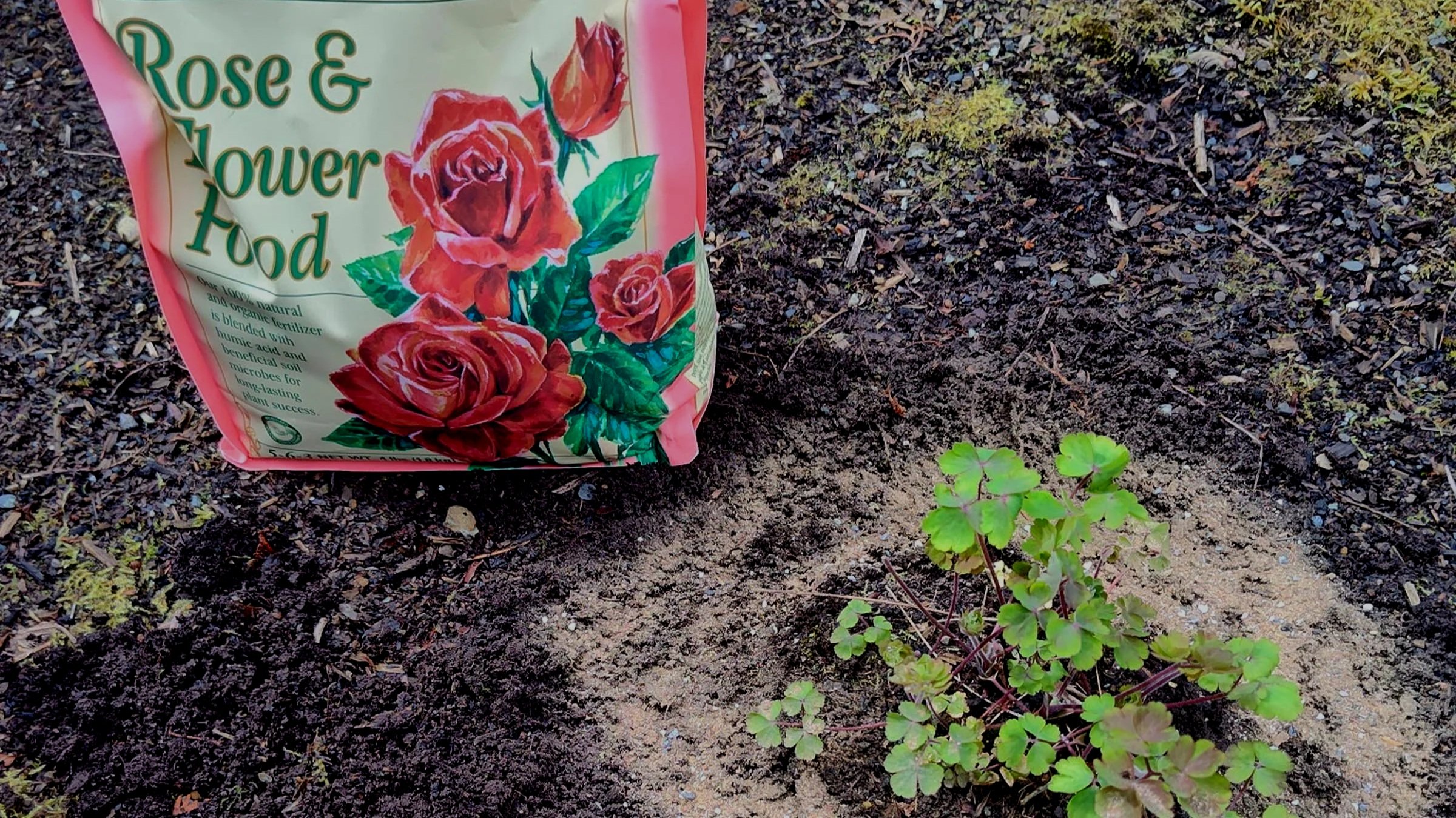 Fertilizing The Right Way - Going Green