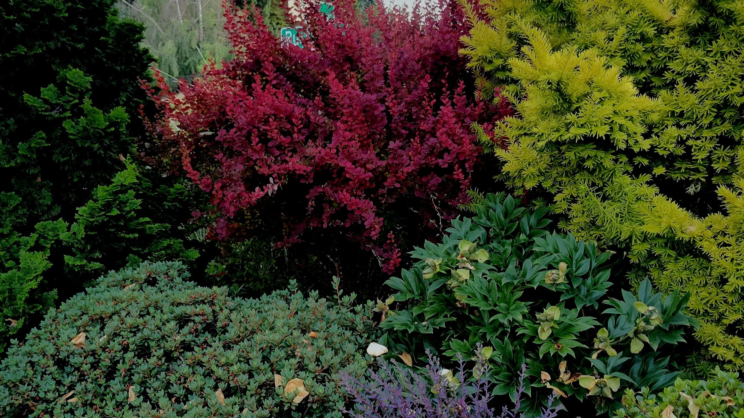 The Basics of Landscape Design