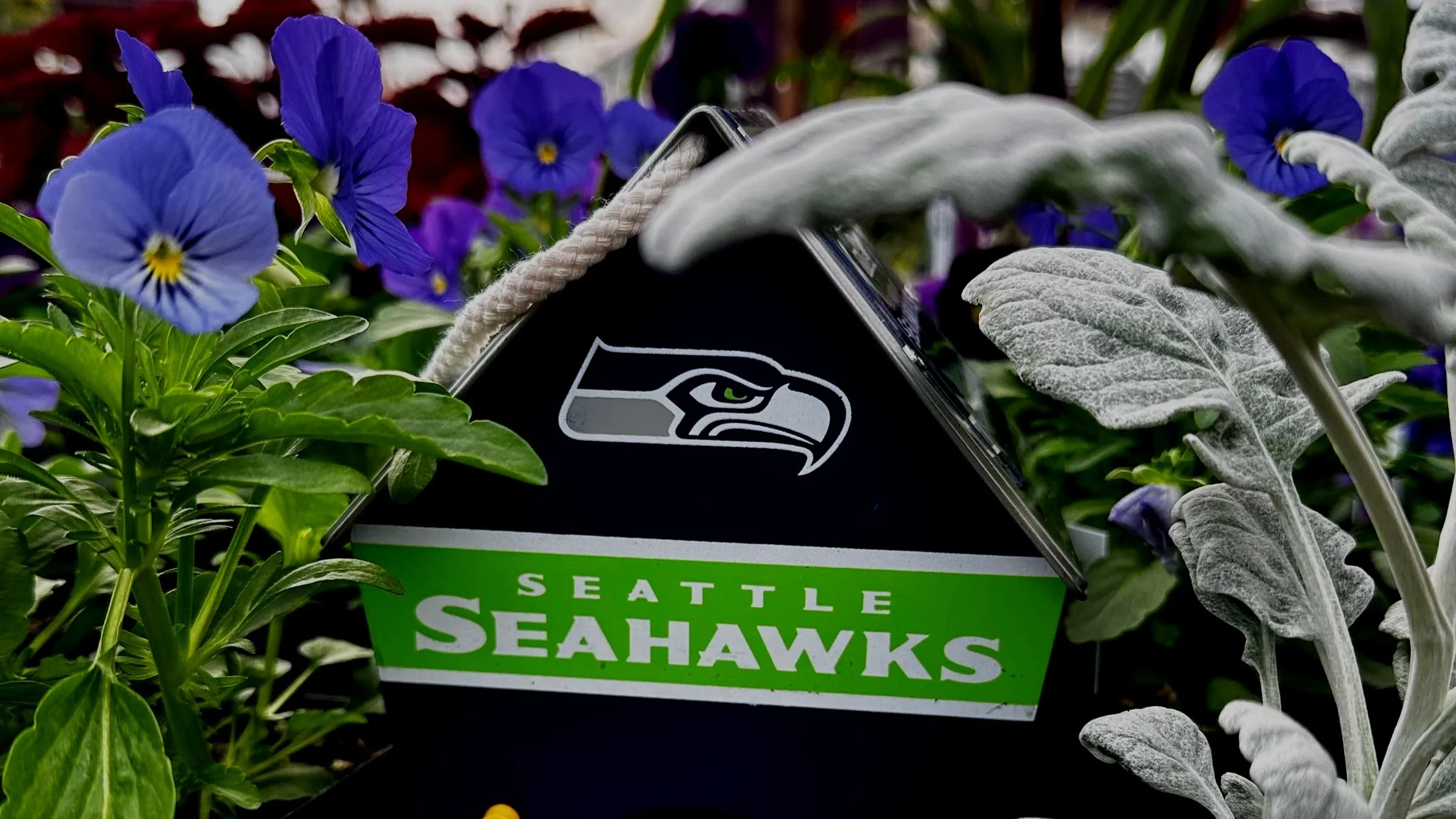 Fall, Football, Flowers and Foliage