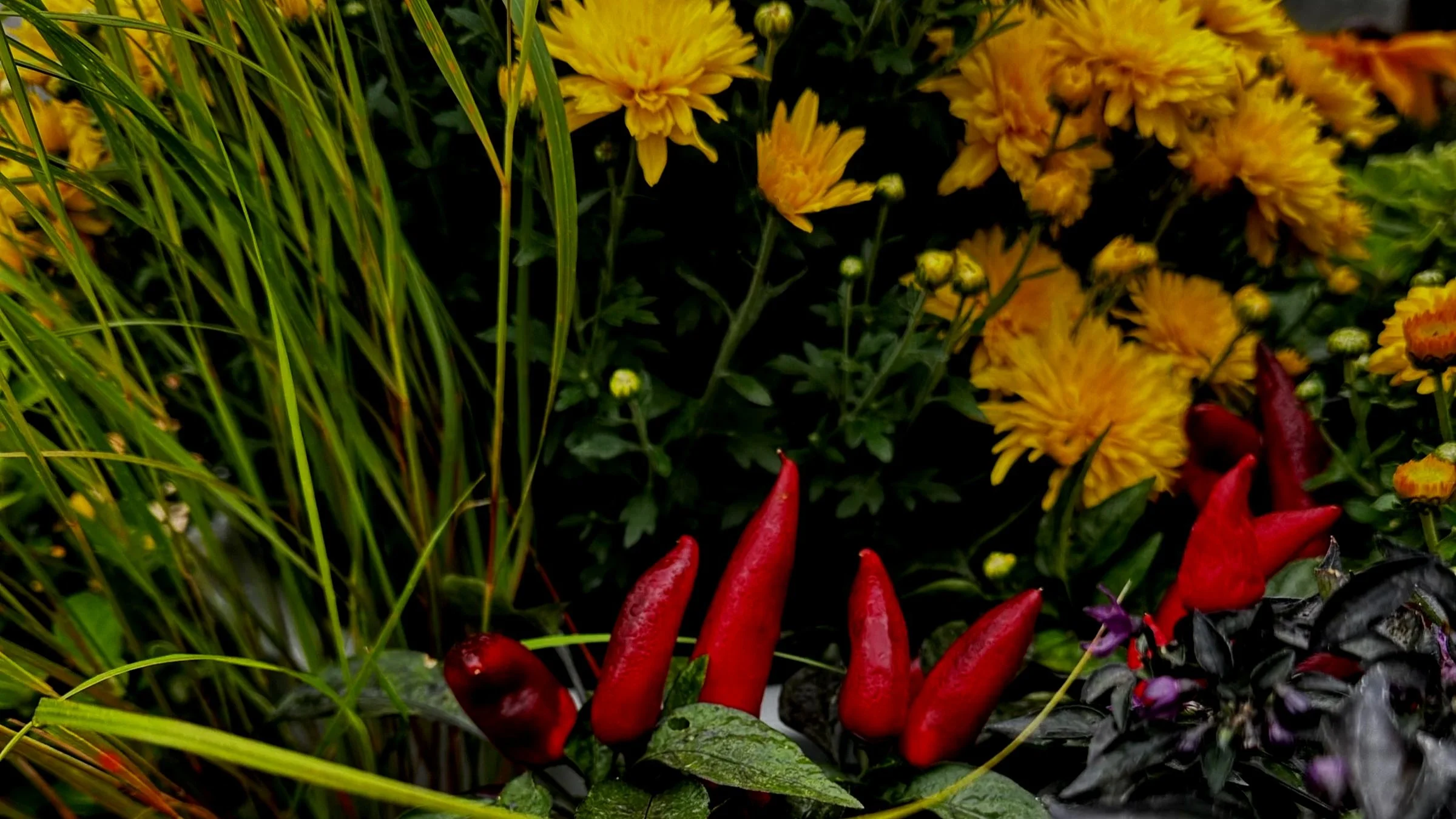 Fabulous Fall Containers