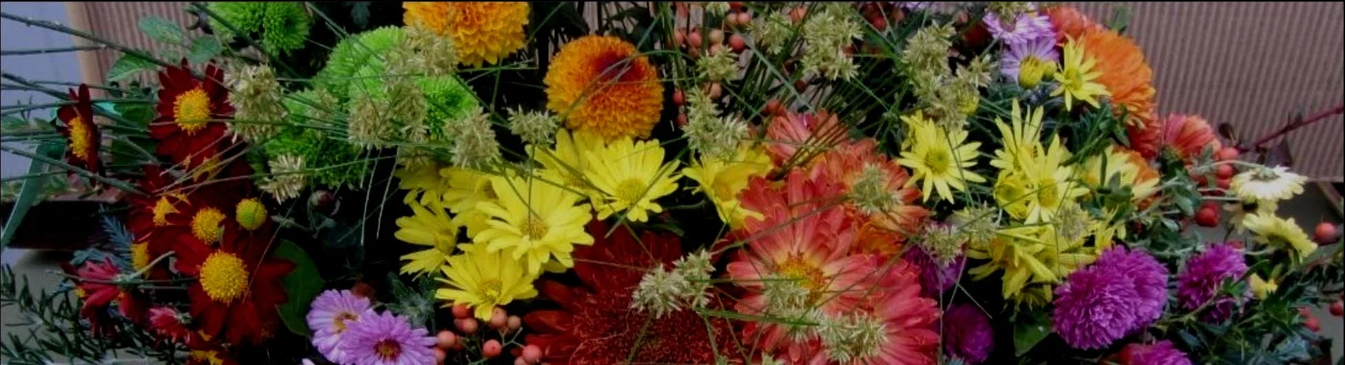 2026 Annual Chrysanthemum Show
