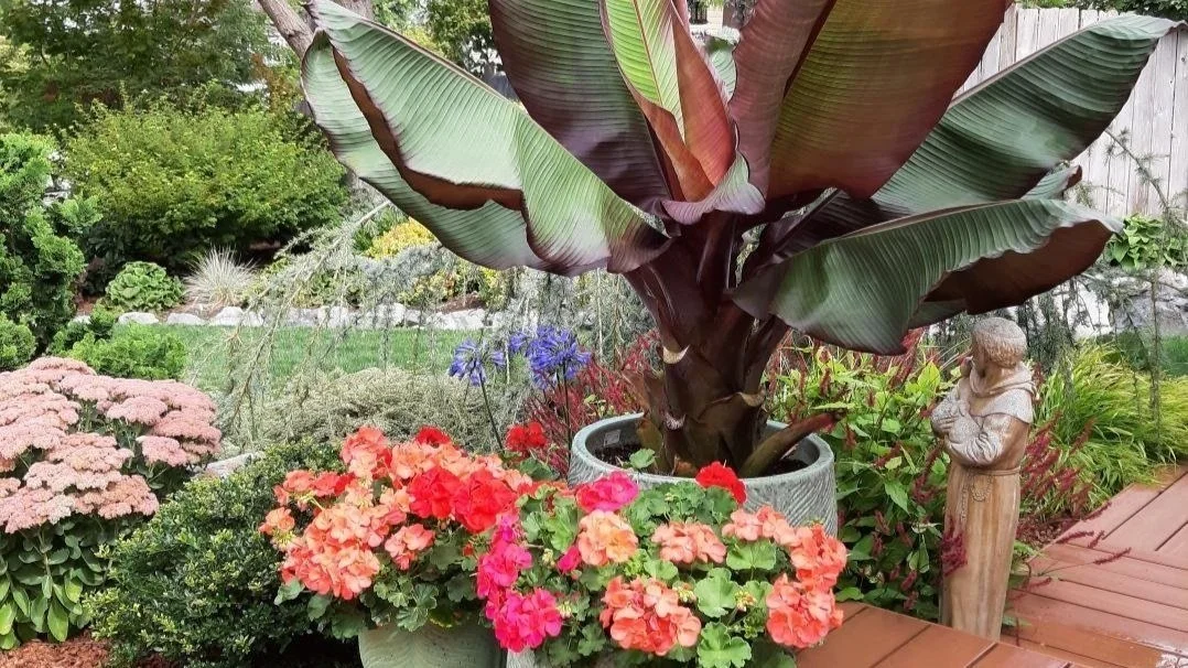 Planting Season Containers Planting Containers In The 'Shoulder Season' — Sunnyside Nursery