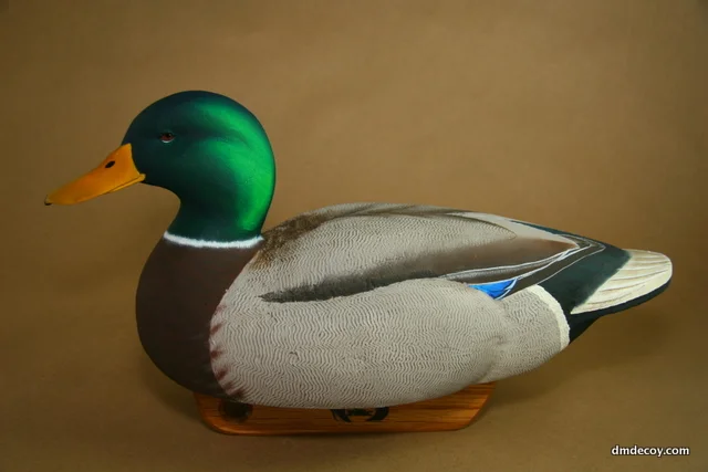 corkmallardside.jpg