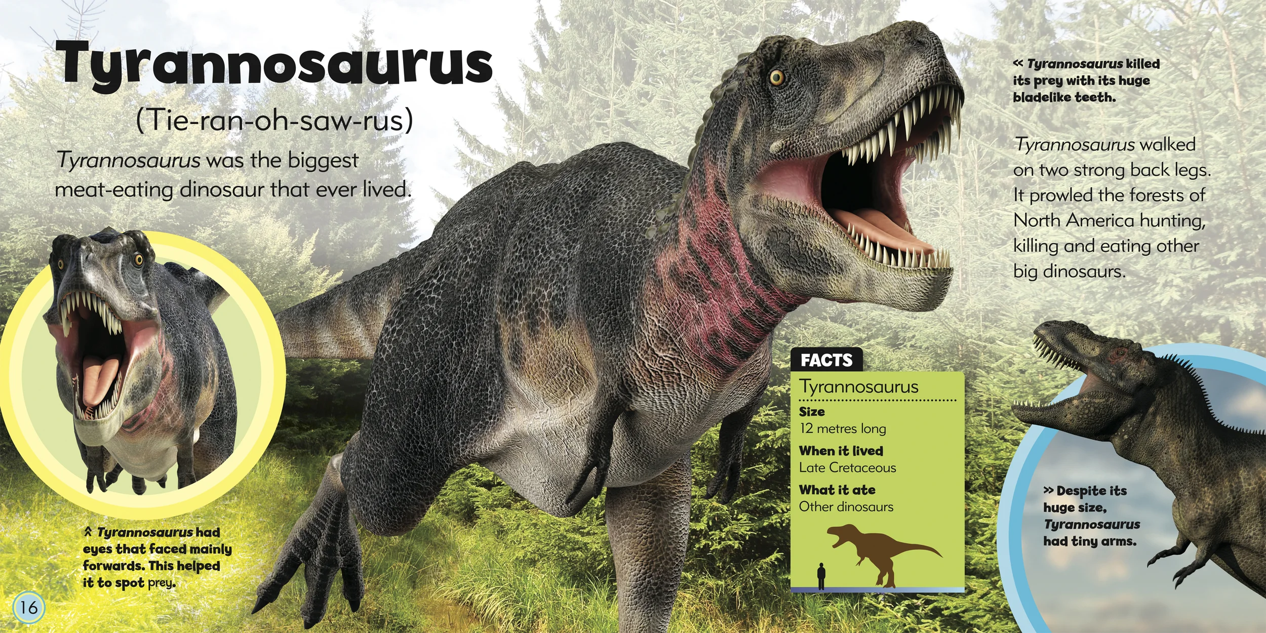 QMLB3-Dino[pg01-31]-9.jpg