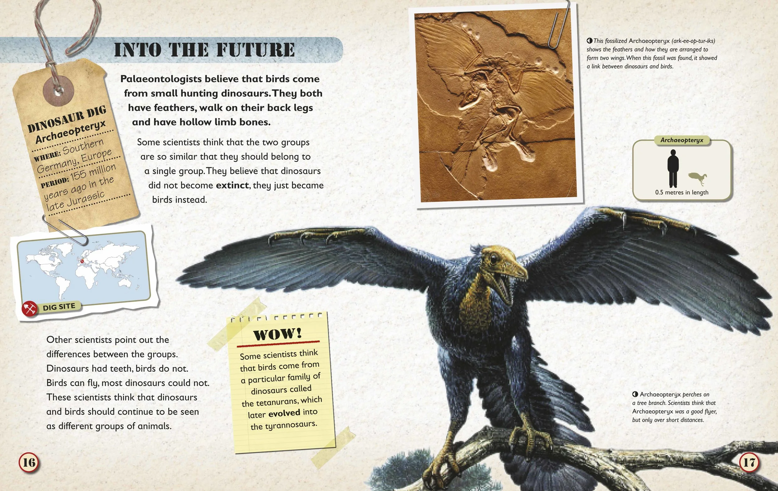  Each main dinosaur featured on each spread has a scale panel to show its size compared with a human adult. 