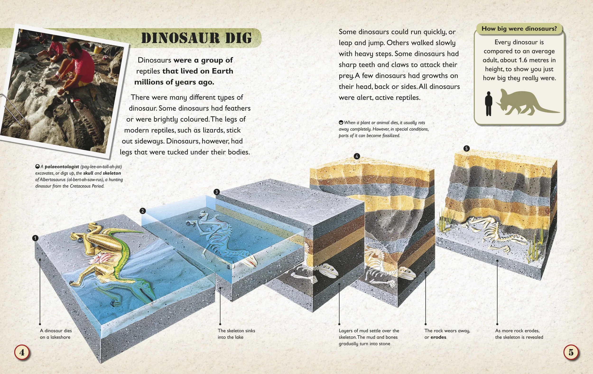  Informative graphics are used at the start of each book to introduce the concept of how sedimentary rock and archaeological digs can reveal the story of time. 