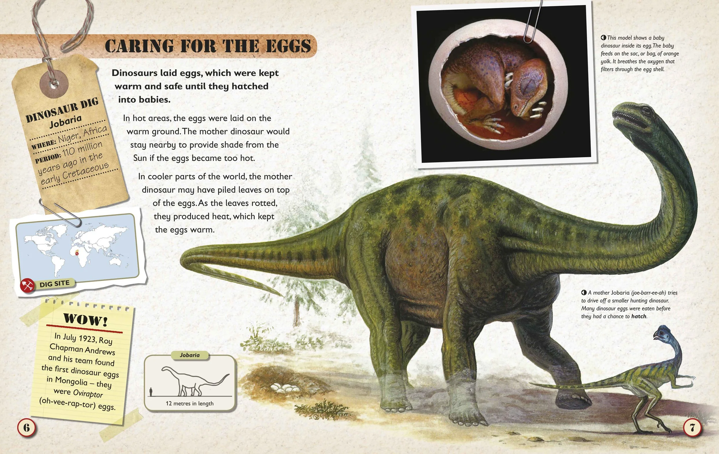  Each spread features a small world map panel to show where the fossils had been discovered. 