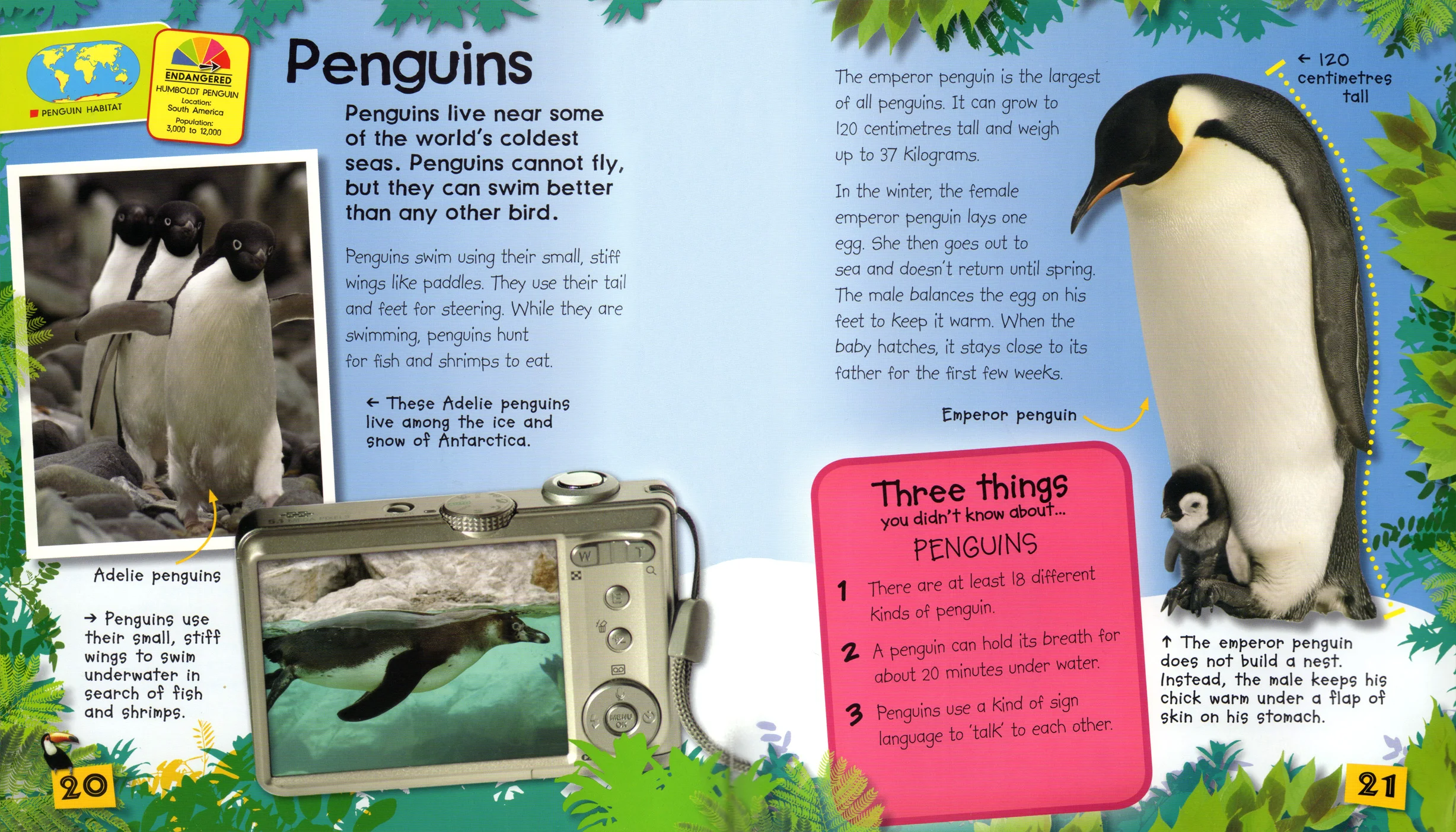 The viewfinder back of the digital camera was introduced as an image border promoting young readers to capture images themselves.