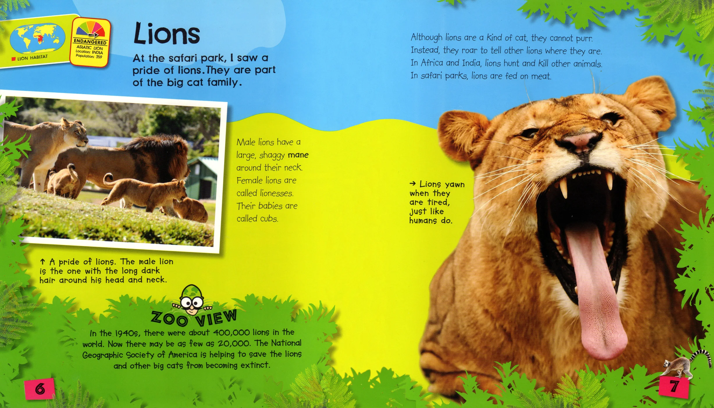 Dramatic wildlife poses within the images helps attract the young readers.