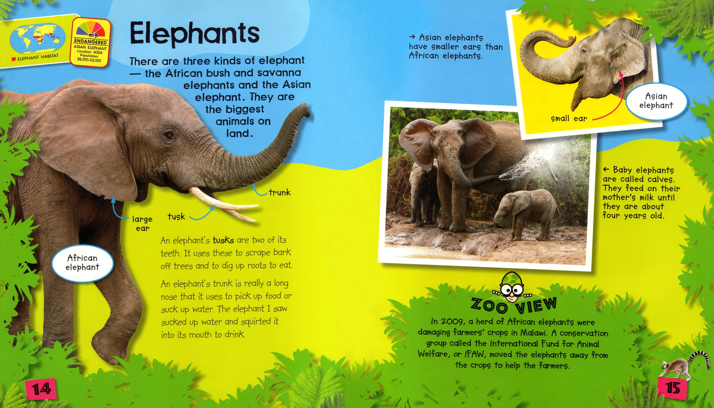 Annotatin captions and arrows help the young reader with identifycation of different species.