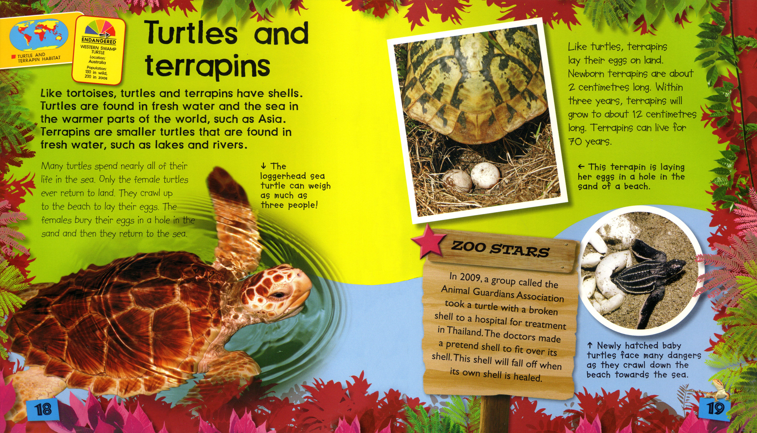 The call-out panels for Zoo Stars describes famous zoo animals from around the world that had captured the hearts of people through media attention.