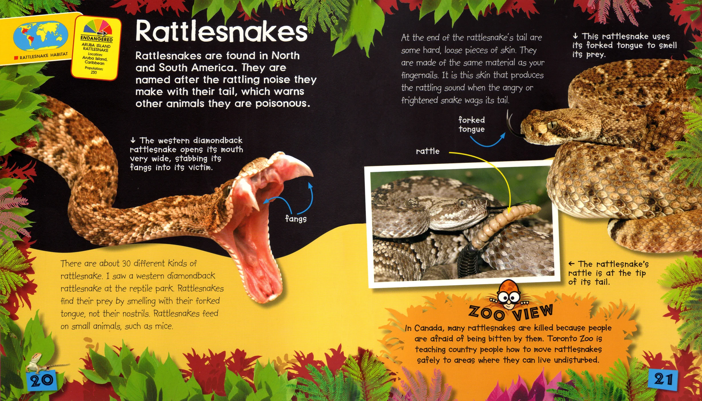 Zoo View panels highlight specific zoo projects that are aiding animal welfare around the world.