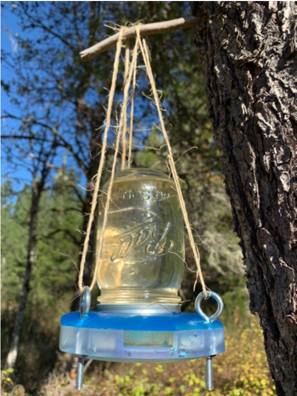 Above: Prototype bee feeder in development.