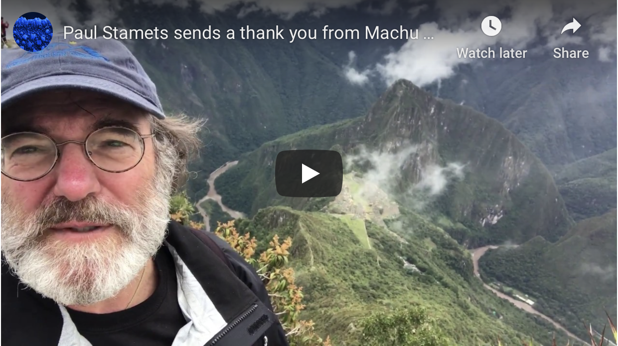 Thank you from Machu Picchu