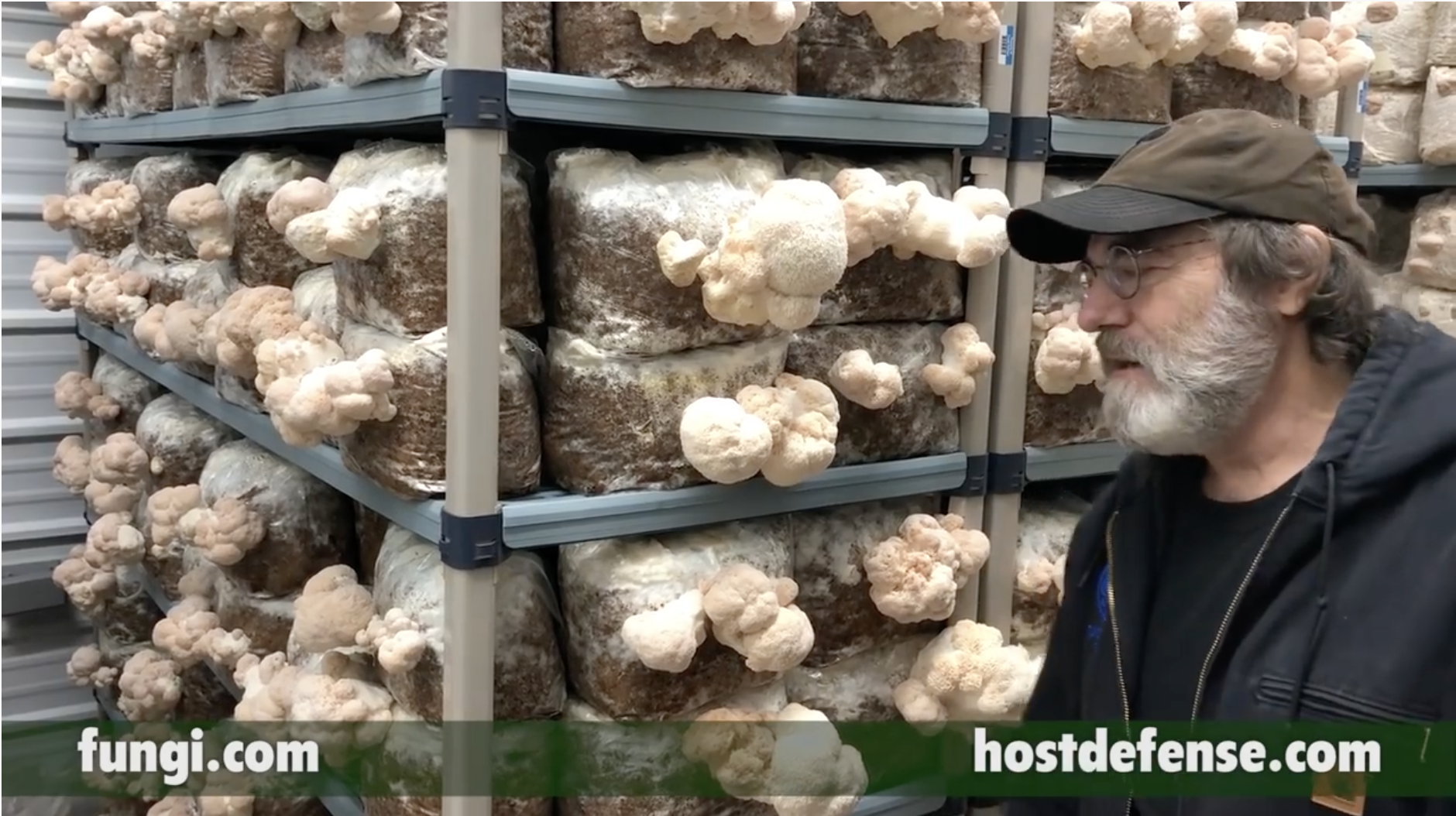 Paul Stamets: Mycelium Makes Mushrooms, Mushrooms Make Mycelium