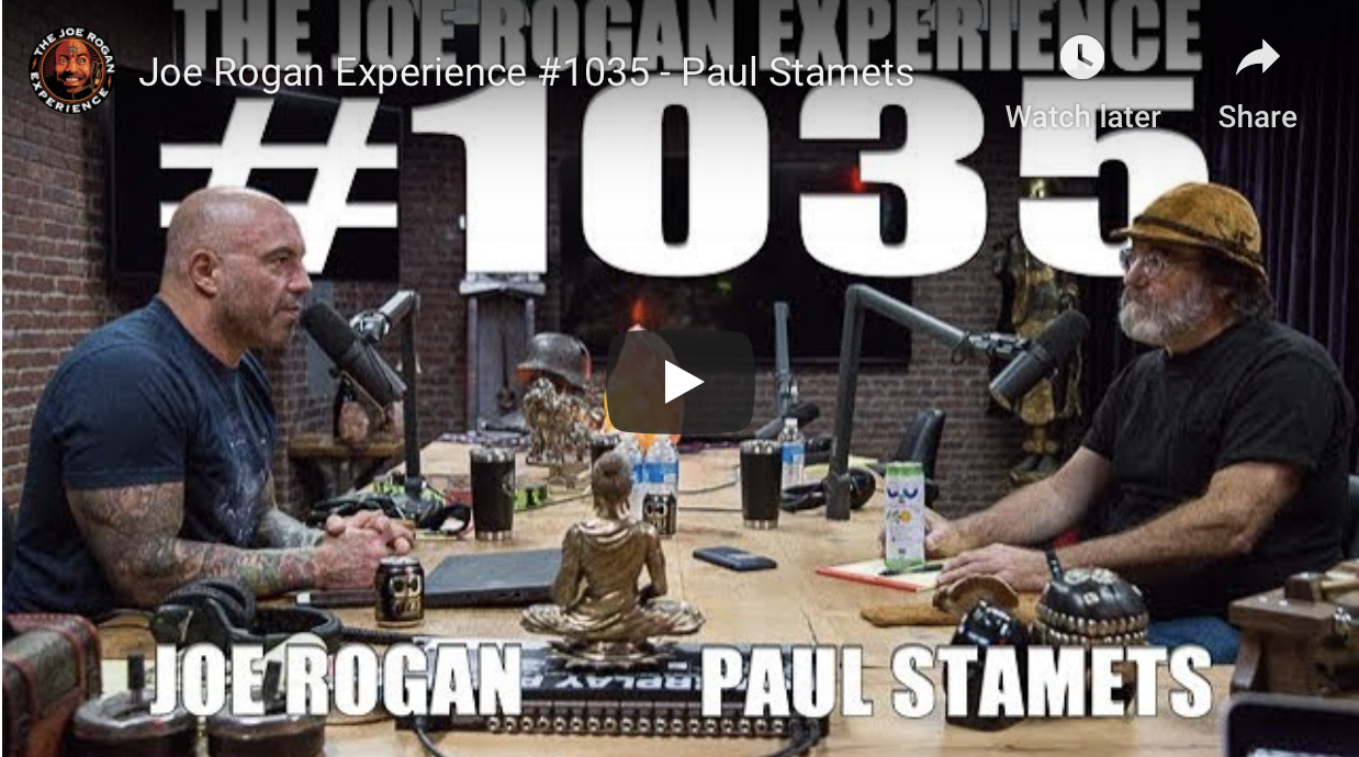Joe Rogan Experience #1035 - November 2017
