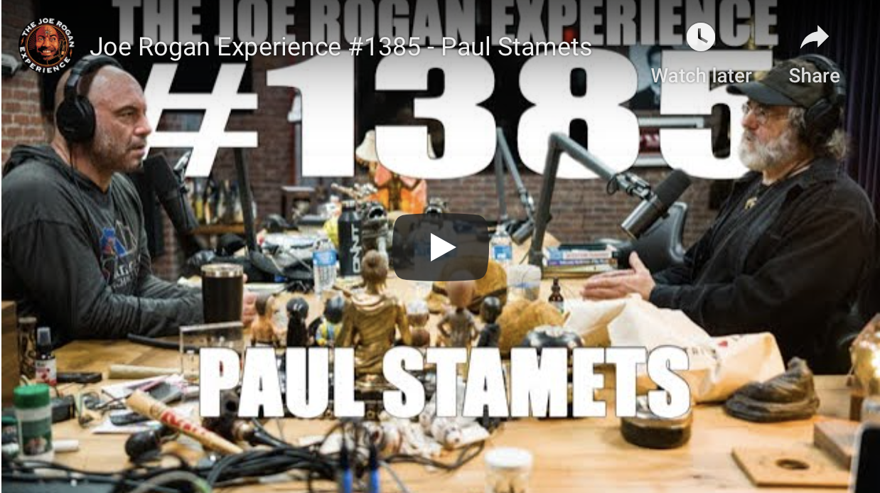 Joe Rogan Experience #1385 - November 2019