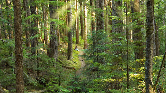 A Mycological Call for Action