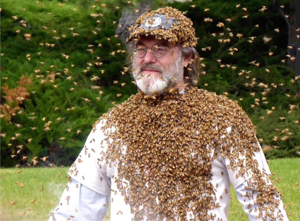 Communing with the Bees!