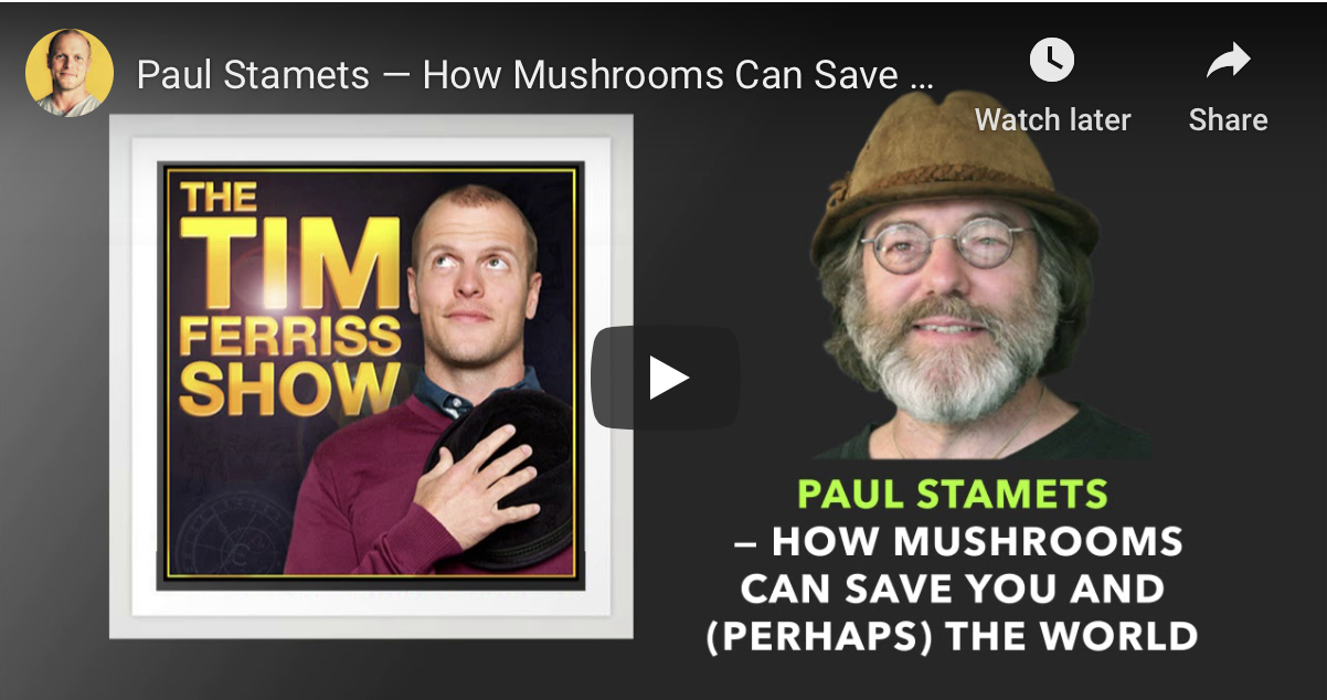 Tim Ferriss Show Interview - November 2018