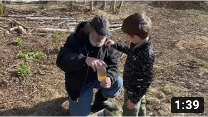 Grandson Kai &amp; the BeeMushroomed Feeder on #worldbeeday