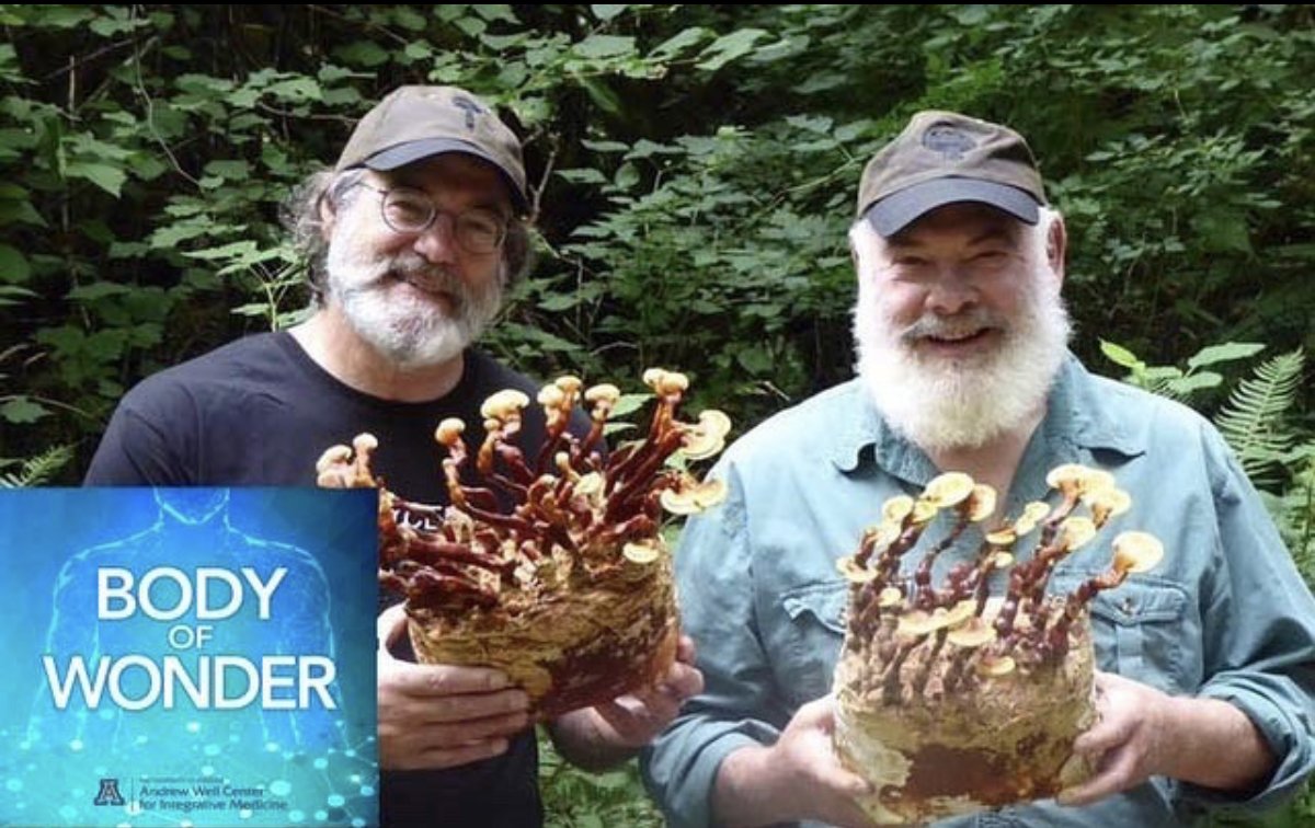 Body of Wonder interview with Dr. Andy Weil