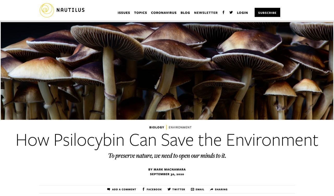 Link at paulstamets.com/links
✨✨✨✨✨✨✨✨✨✨
My Fellow Myconauts 

I hope you are holding up well during these COVID times.

To feed and stimulate your receptors, if interested, please see my Nautilus interview published yesterday. 👀

This is a revoluti