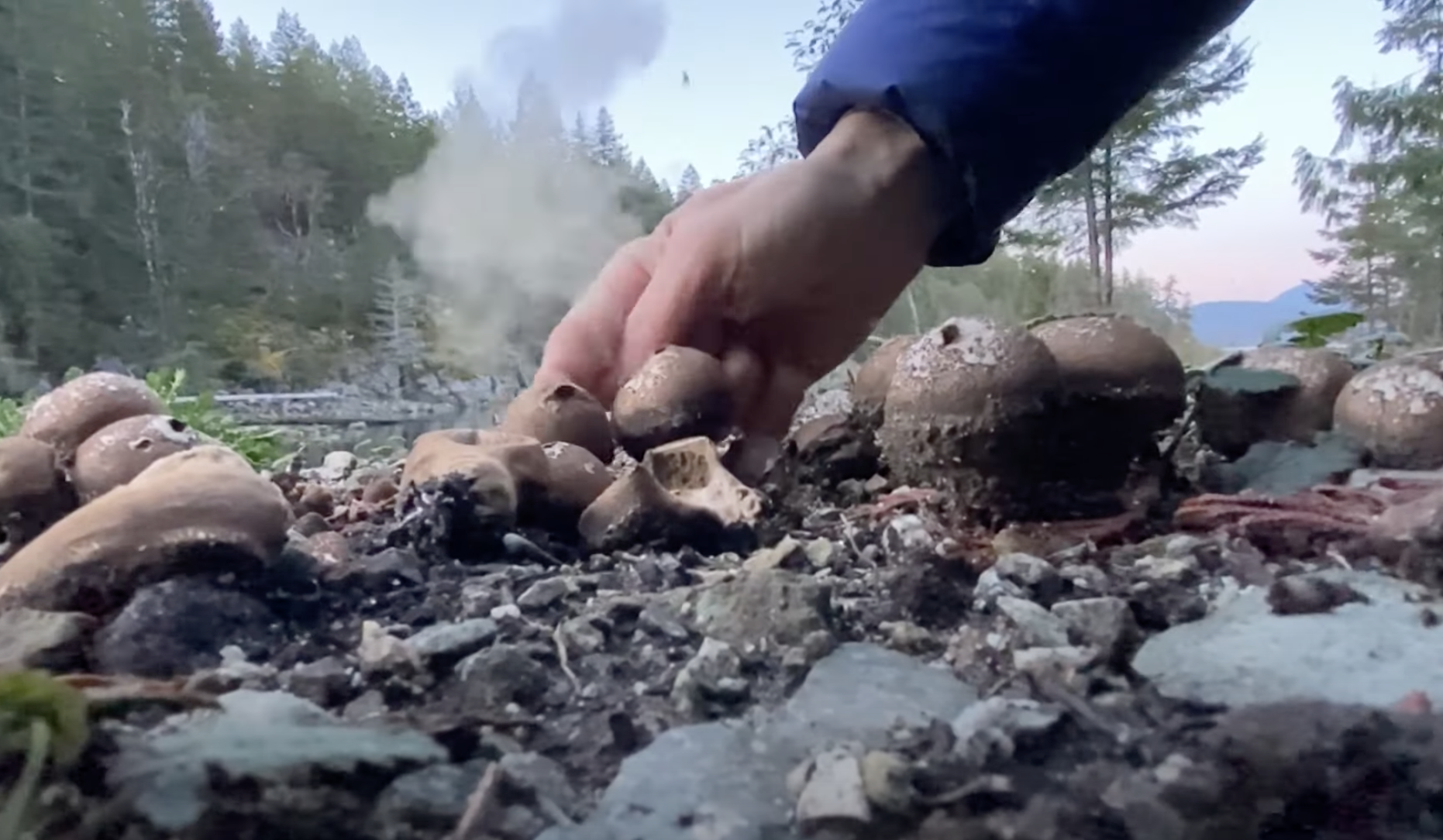 Puff Ball Symphony: Spore expressions of a Lycoperdon