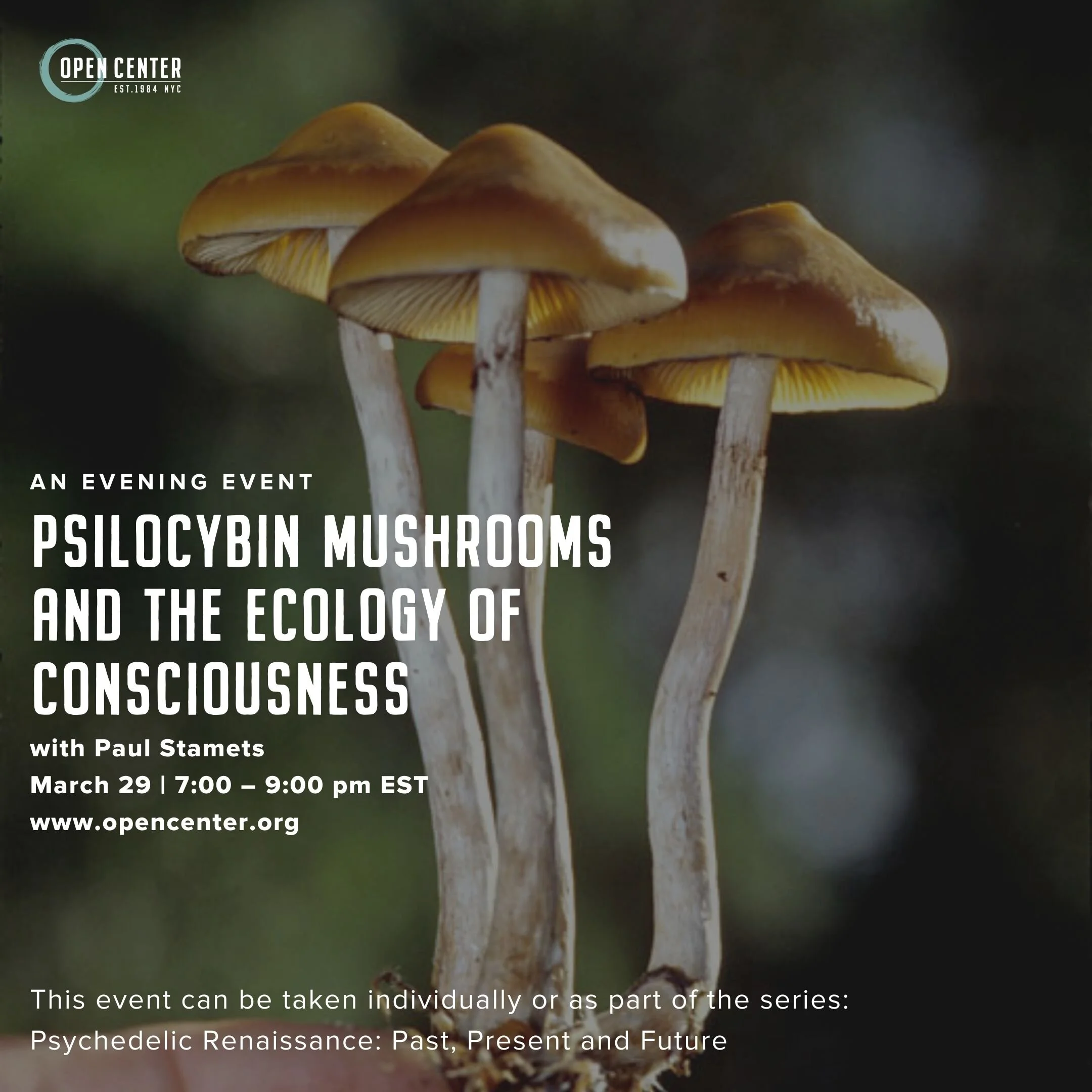 Psychedelic Renaissance Program at the Open Center 2020